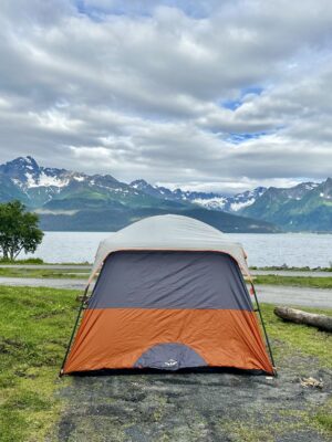 ANHAD'S UNIVERSE: Bubble Net feeding with Whales in Alaska - Image 7