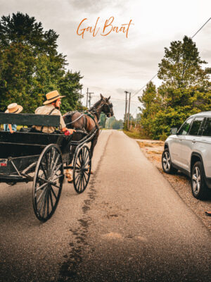 United Travels of America - Image 10