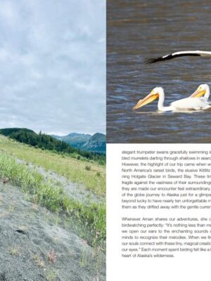 United Travels of America - Image 7