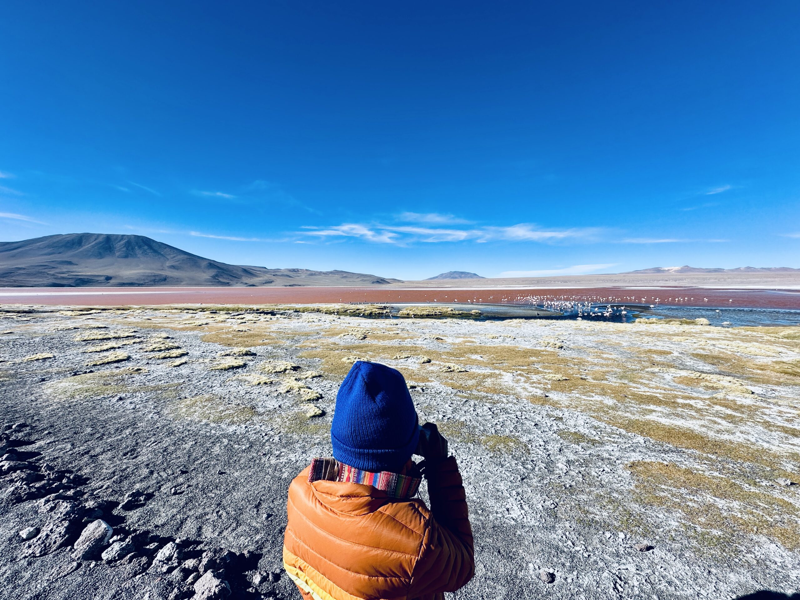 ANHAD'S UNIVERSE: Finding Flamingos in Bolivia - Image 6