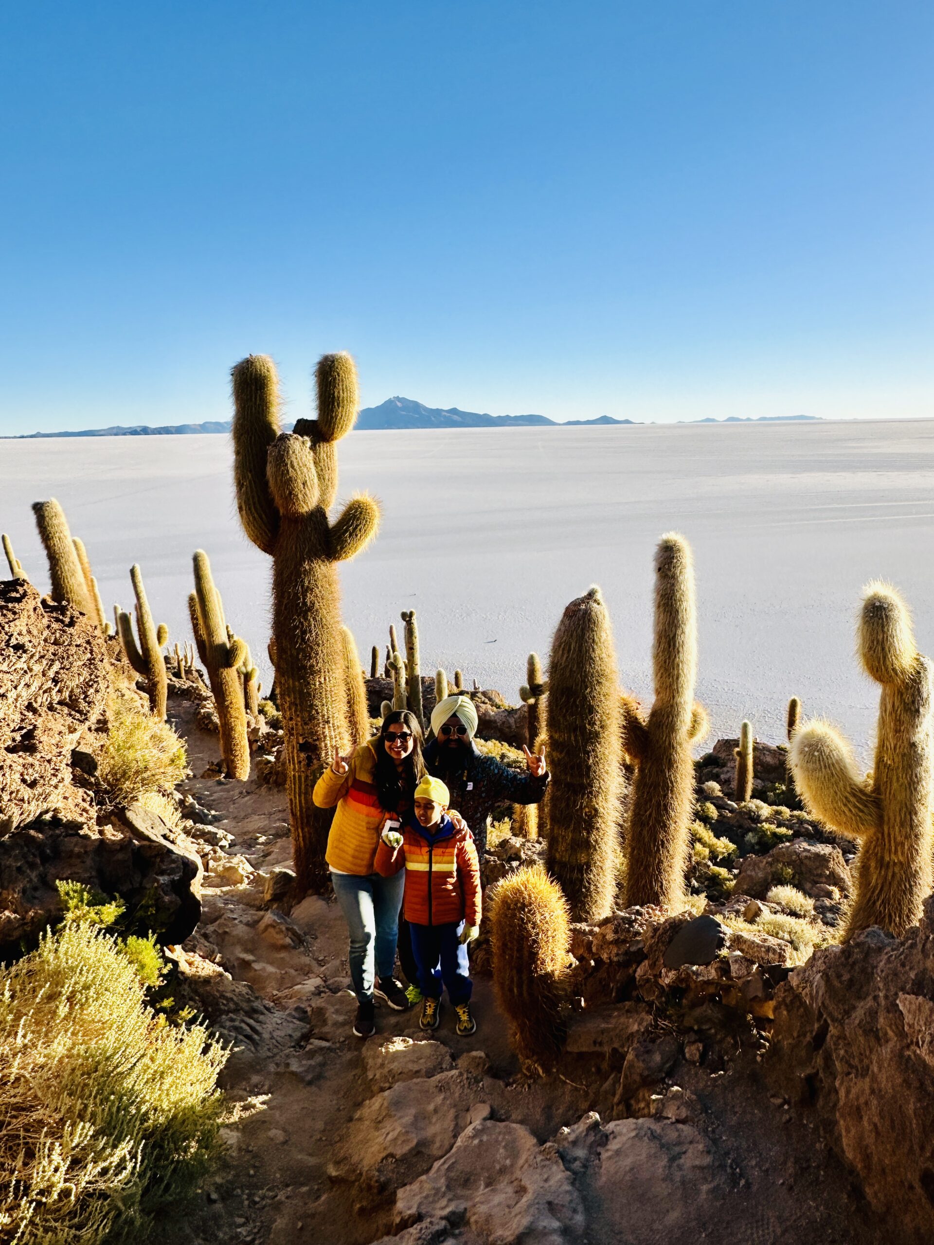 ANHAD'S UNIVERSE: Finding Flamingos in Bolivia - Image 4