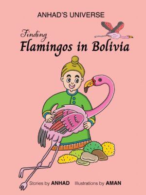ANHAD'S UNIVERSE: Finding Flamingos in Bolivia