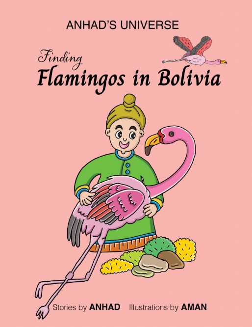 ANHAD'S UNIVERSE: Finding Flamingos in Bolivia